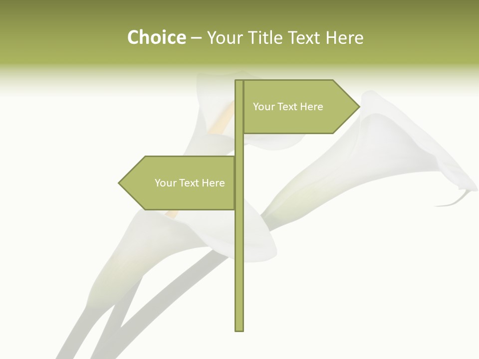 Pure Yellow Delicate PowerPoint Template