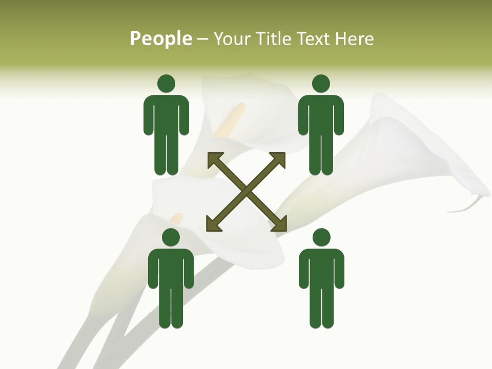 Pure Yellow Delicate PowerPoint Template