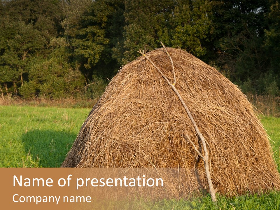 Haystack Farming Grass PowerPoint Template