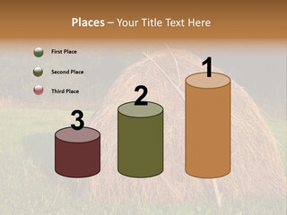 Haystack Farming Grass PowerPoint Template