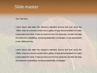Haystack Farming Grass PowerPoint Template