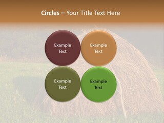 Haystack Farming Grass PowerPoint Template