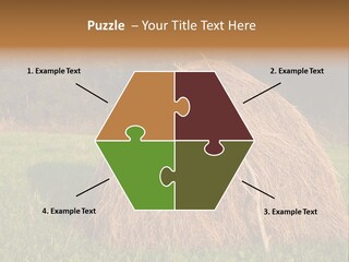 Haystack Farming Grass PowerPoint Template