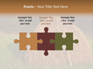 Haystack Farming Grass PowerPoint Template