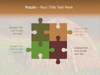 Haystack Farming Grass PowerPoint Template
