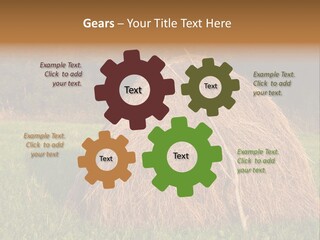 Haystack Farming Grass PowerPoint Template