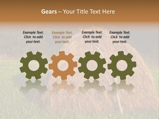 Haystack Farming Grass PowerPoint Template