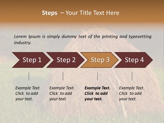 Haystack Farming Grass PowerPoint Template