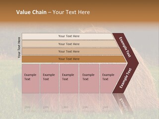 Haystack Farming Grass PowerPoint Template