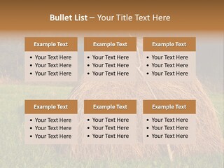 Haystack Farming Grass PowerPoint Template