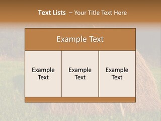 Haystack Farming Grass PowerPoint Template