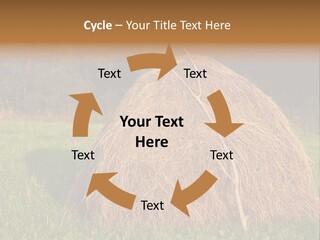 Haystack Farming Grass PowerPoint Template