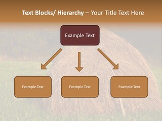 Haystack Farming Grass PowerPoint Template