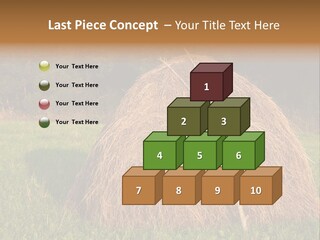 Haystack Farming Grass PowerPoint Template