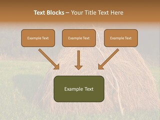 Haystack Farming Grass PowerPoint Template