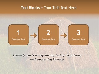 Haystack Farming Grass PowerPoint Template