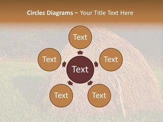 Haystack Farming Grass PowerPoint Template