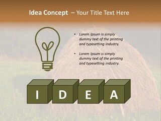 Haystack Farming Grass PowerPoint Template