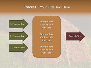 Haystack Farming Grass PowerPoint Template