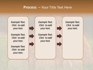 Haystack Farming Grass PowerPoint Template