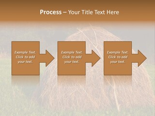 Haystack Farming Grass PowerPoint Template