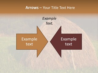Haystack Farming Grass PowerPoint Template