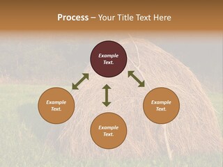 Haystack Farming Grass PowerPoint Template