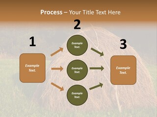 Haystack Farming Grass PowerPoint Template
