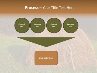 Haystack Farming Grass PowerPoint Template