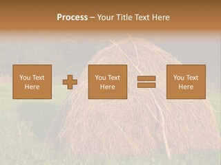 Haystack Farming Grass PowerPoint Template