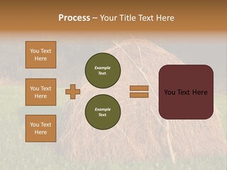 Haystack Farming Grass PowerPoint Template