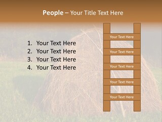 Haystack Farming Grass PowerPoint Template
