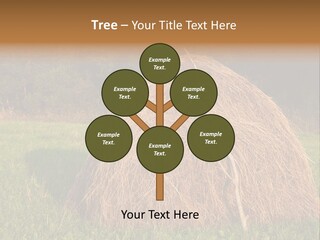 Haystack Farming Grass PowerPoint Template