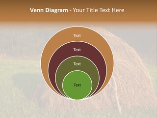 Haystack Farming Grass PowerPoint Template