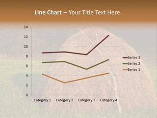 Haystack Farming Grass PowerPoint Template