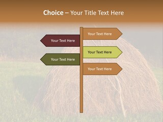 Haystack Farming Grass PowerPoint Template