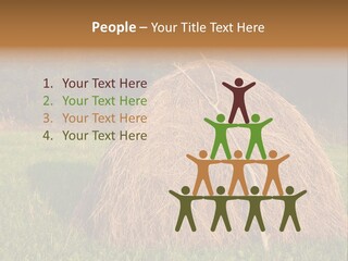 Haystack Farming Grass PowerPoint Template