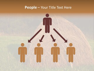 Haystack Farming Grass PowerPoint Template