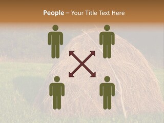 Haystack Farming Grass PowerPoint Template