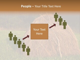 Haystack Farming Grass PowerPoint Template