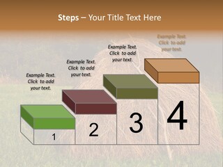Haystack Farming Grass PowerPoint Template