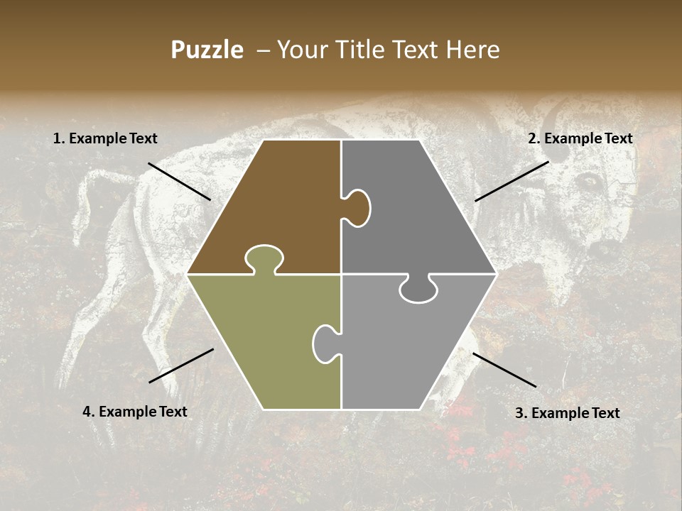 Artifact Rock Art Pictograph PowerPoint Template