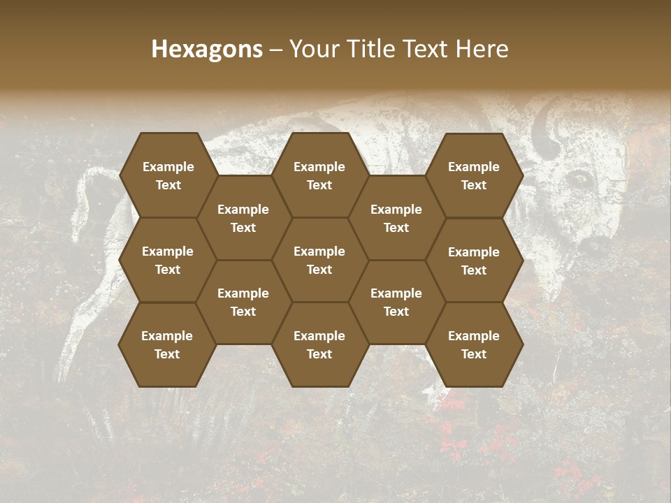 Artifact Rock Art Pictograph PowerPoint Template