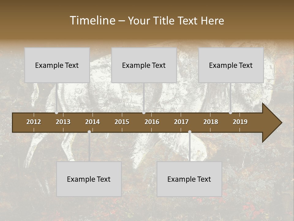 Artifact Rock Art Pictograph PowerPoint Template