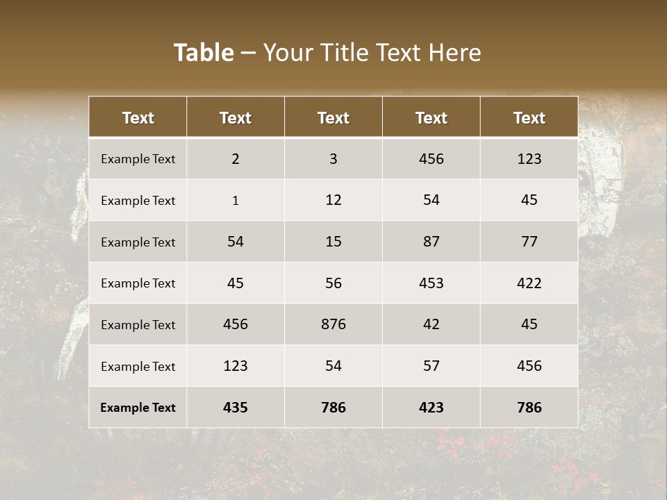 Artifact Rock Art Pictograph PowerPoint Template