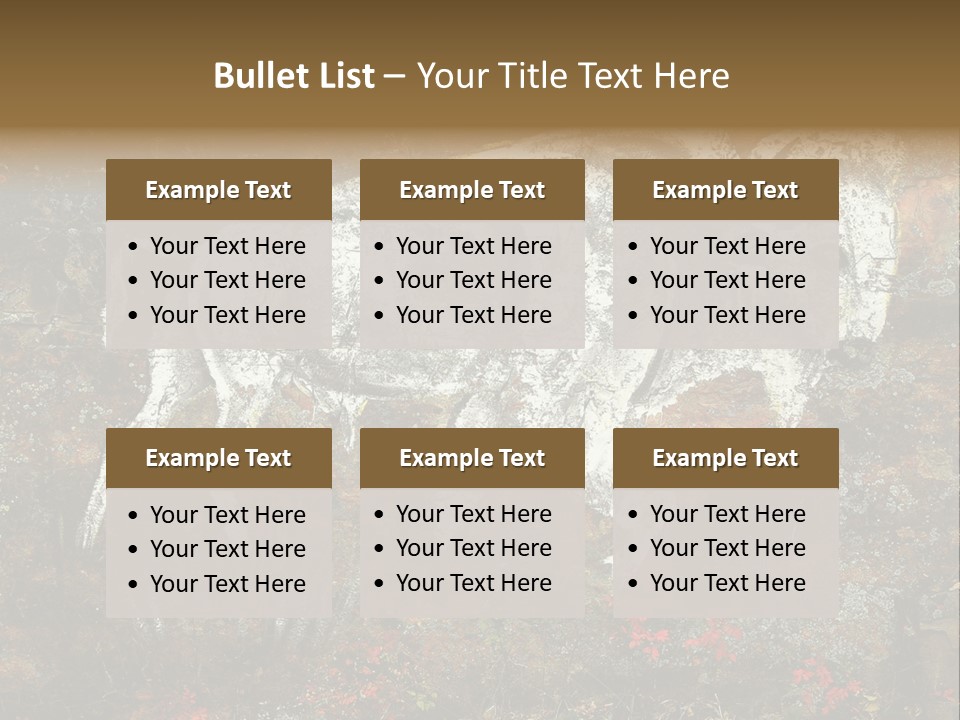 Artifact Rock Art Pictograph PowerPoint Template