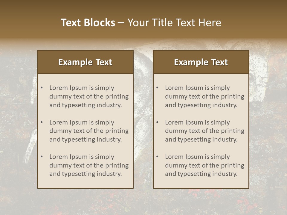 Artifact Rock Art Pictograph PowerPoint Template
