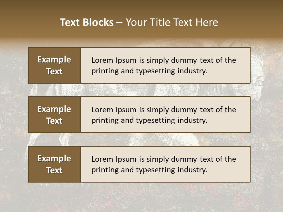 Artifact Rock Art Pictograph PowerPoint Template