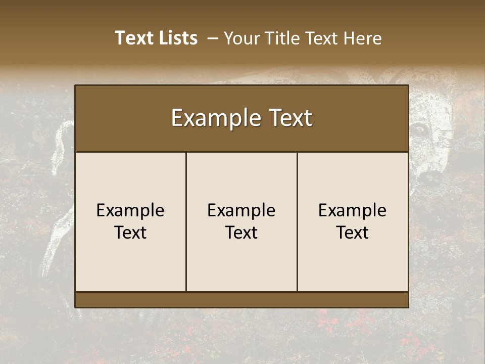 Artifact Rock Art Pictograph PowerPoint Template
