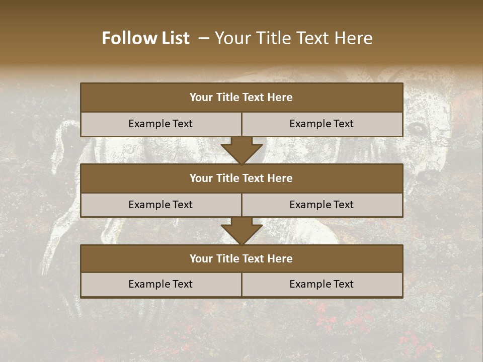 Artifact Rock Art Pictograph PowerPoint Template